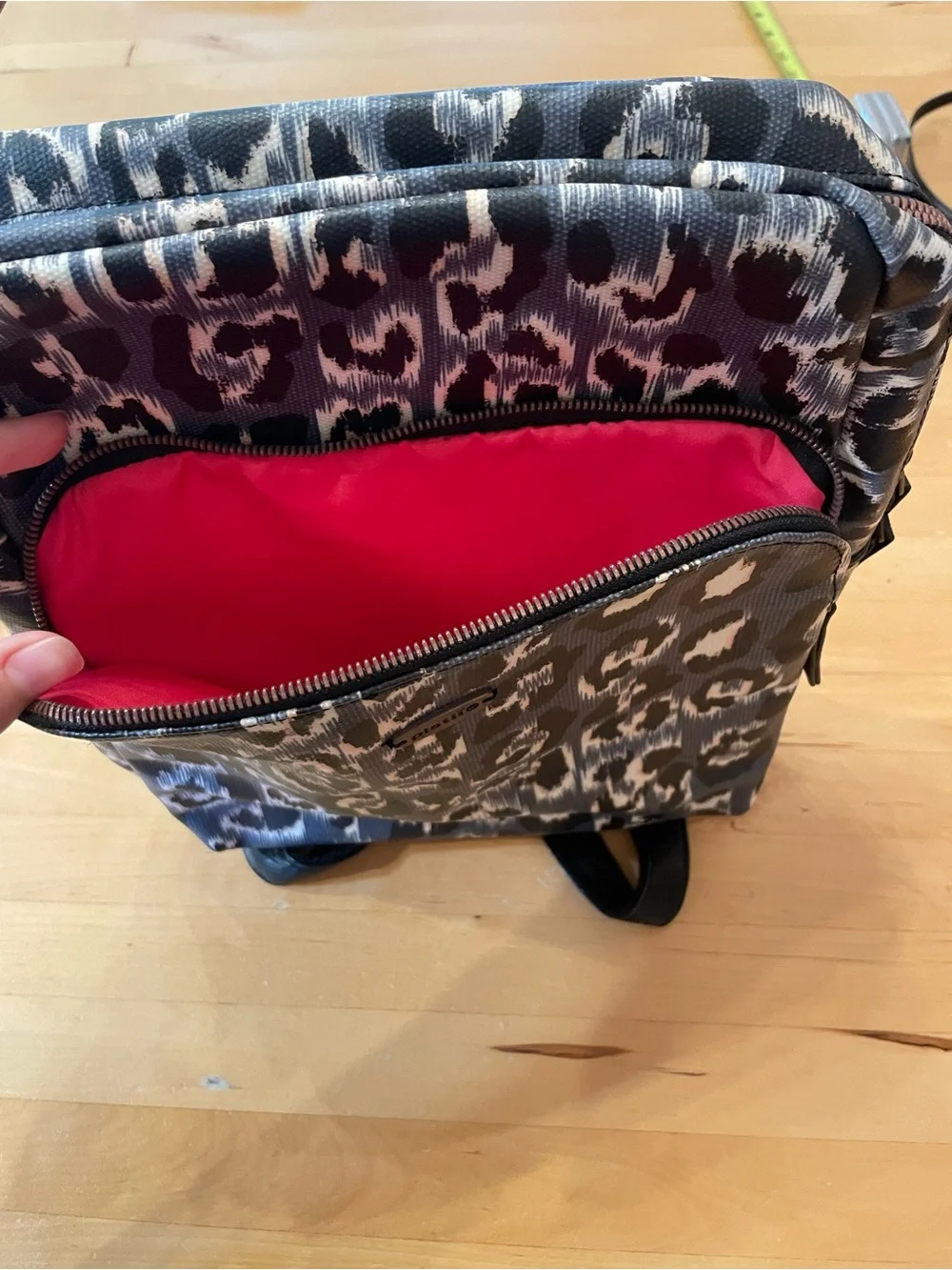 NWT Pistil Coated Canvas Mini Backpack Purse